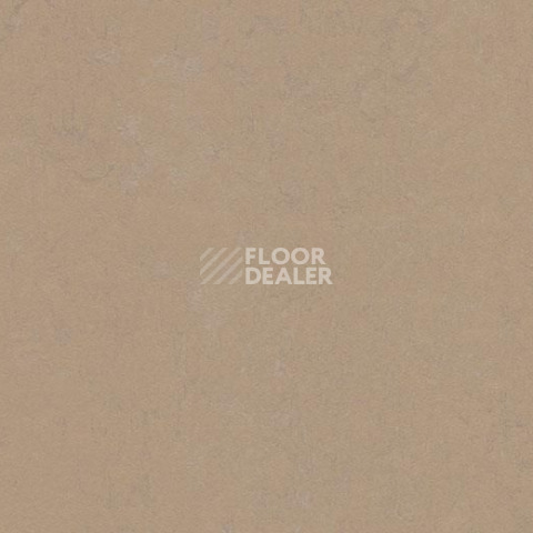 Линолеум Forbo Marmoleum Decibel on Order 372735 drift фото 1 | FLOORDEALER